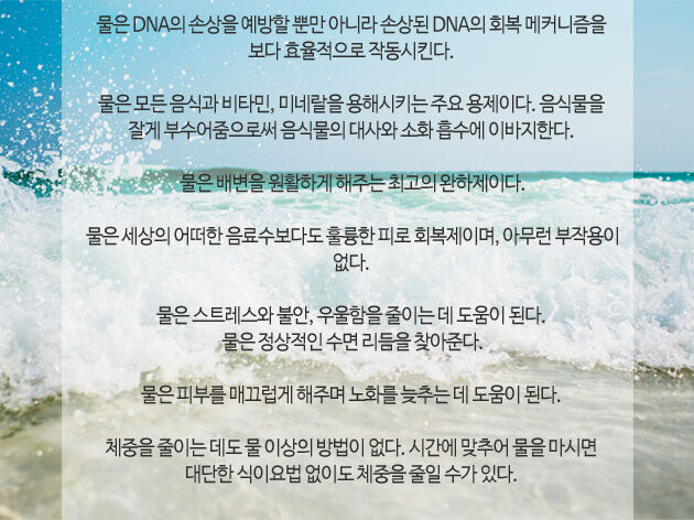 푸드스토리