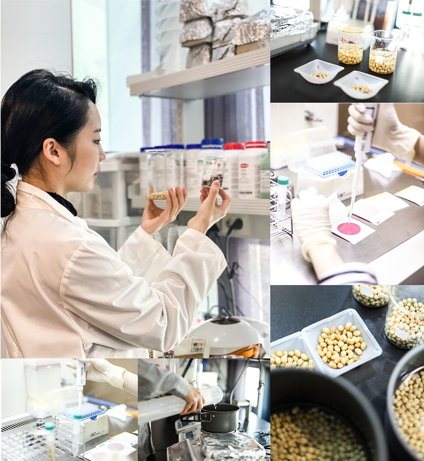 발효 전문 기업 소미노의 연구 모습