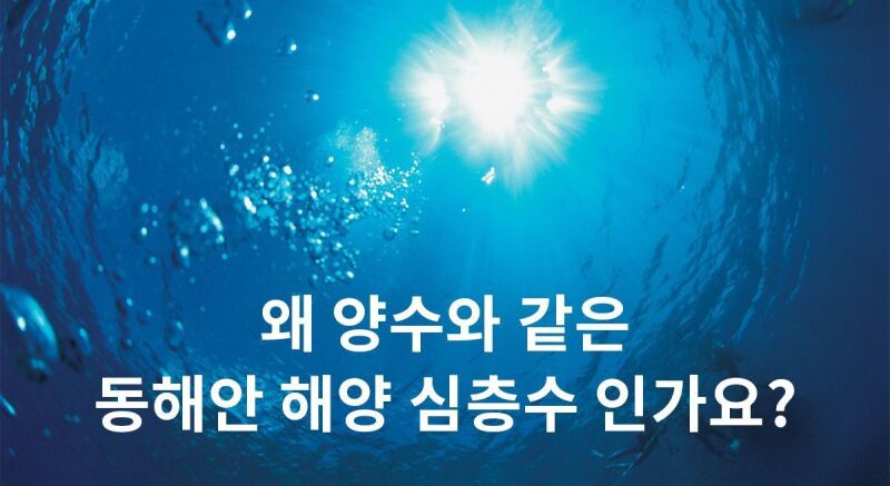이미지 설명이 없습니다.