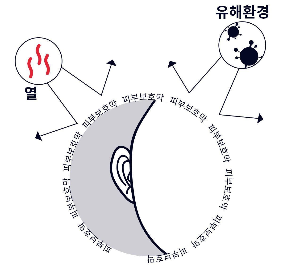 이미지 설명이 없습니다.