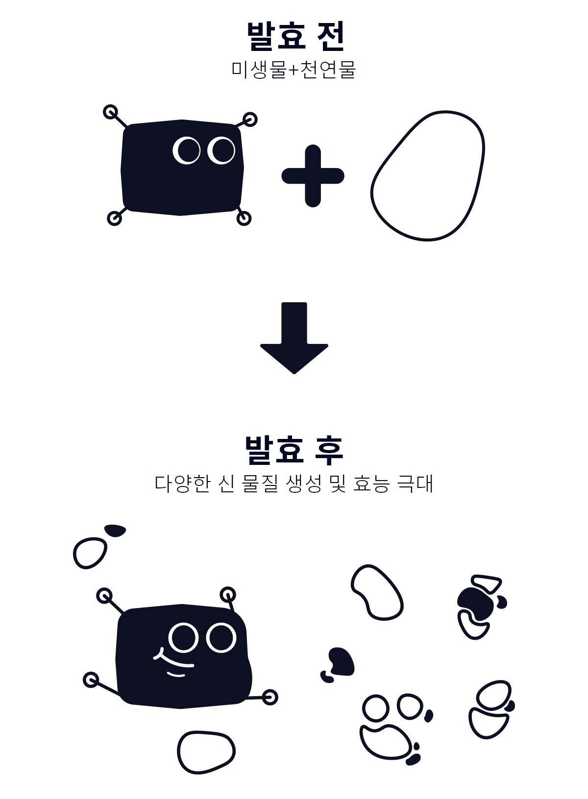이미지 설명이 없습니다.