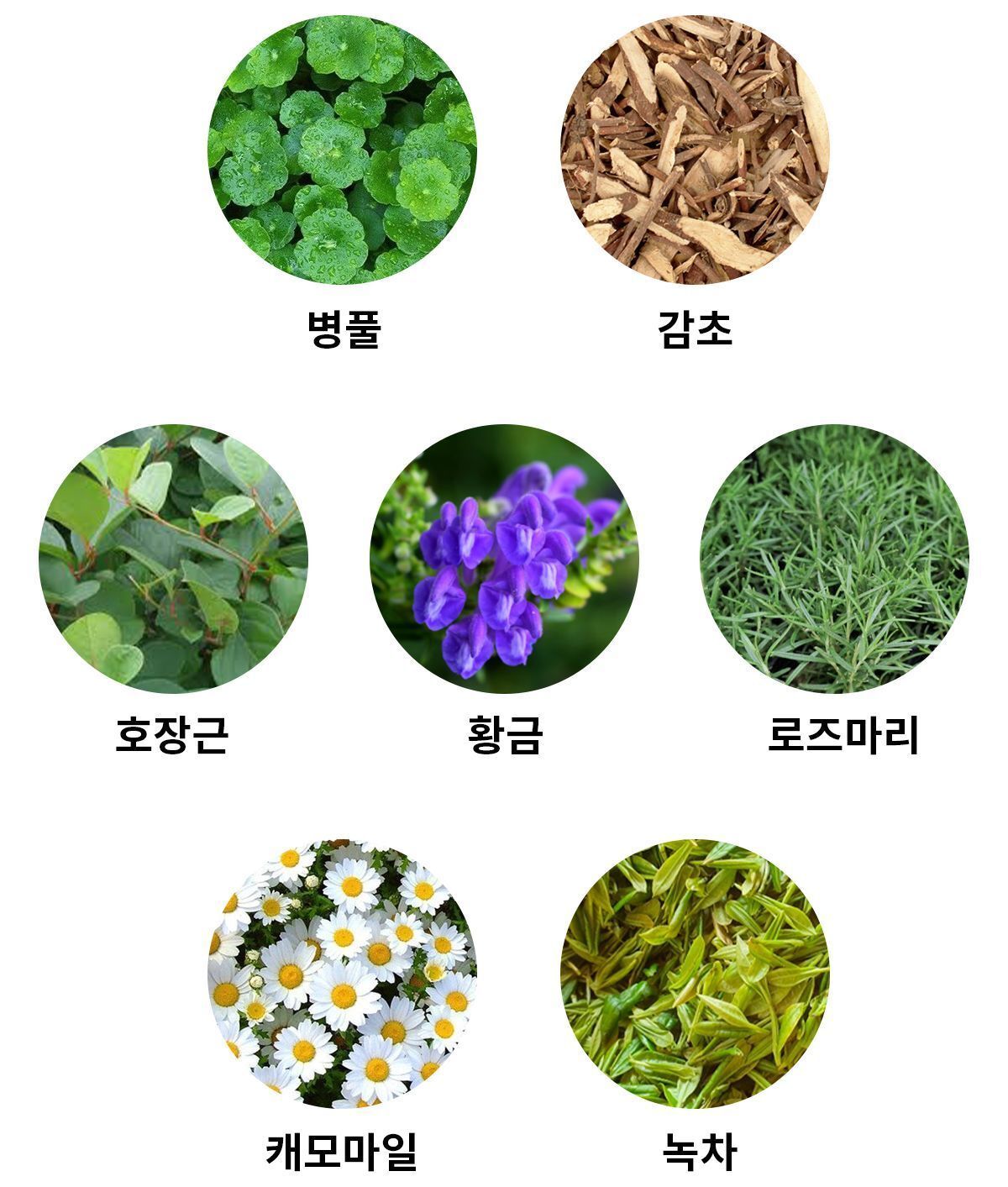 이미지 설명이 없습니다.