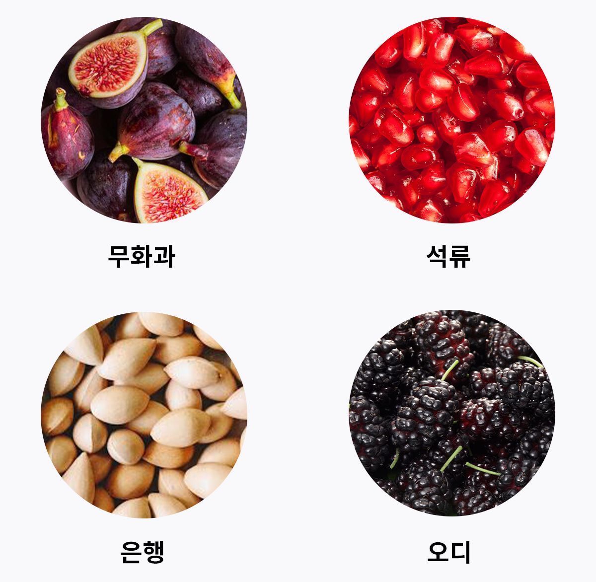 이미지 설명이 없습니다.