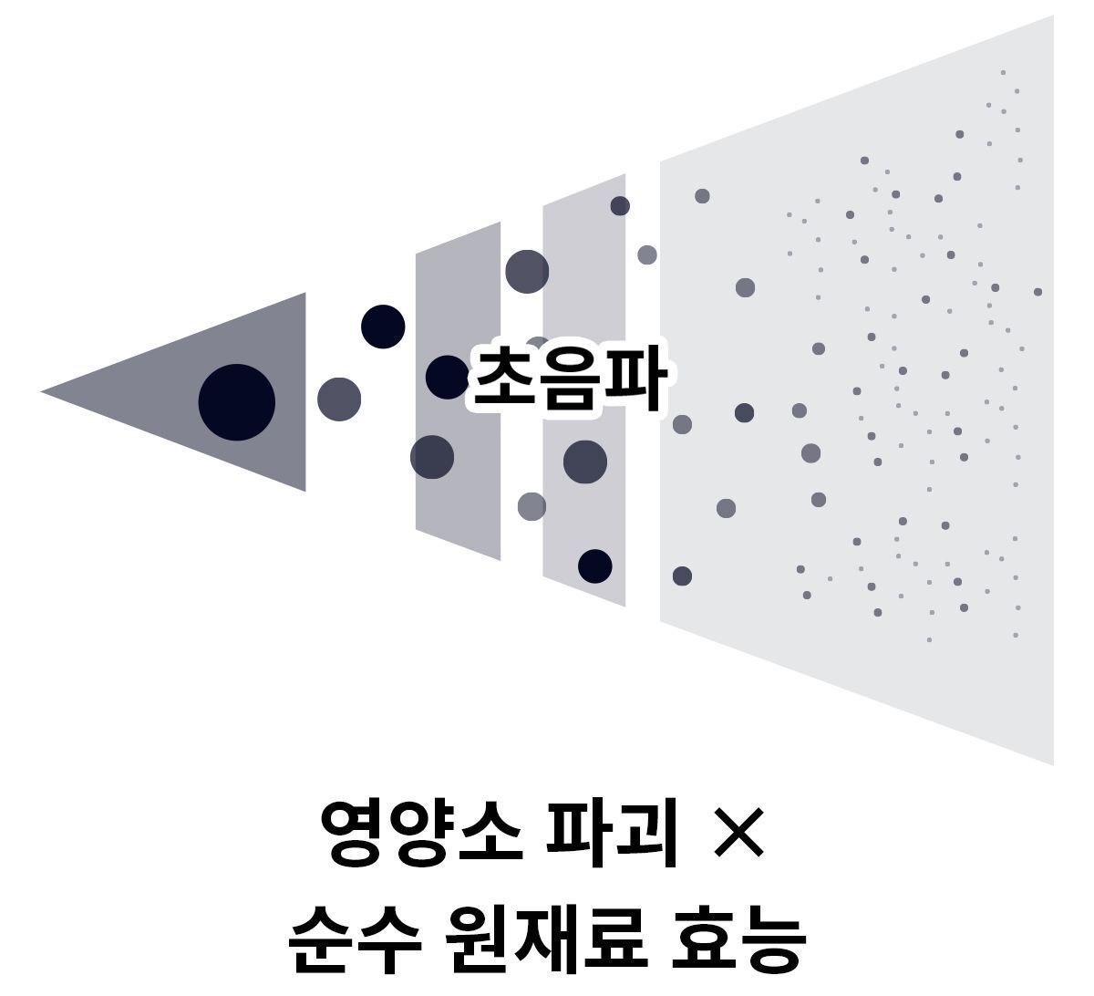 이미지 설명이 없습니다.