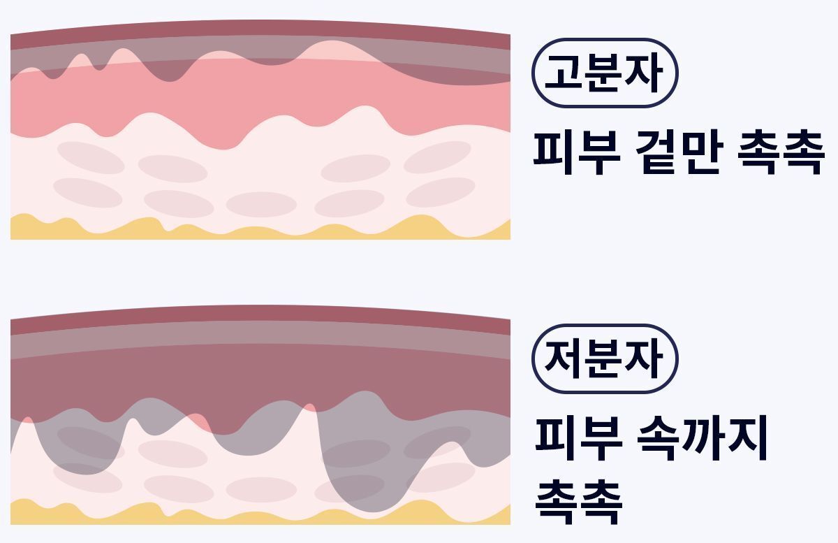 이미지 설명이 없습니다.