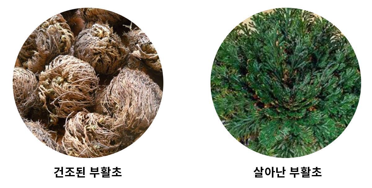 이미지 설명이 없습니다.