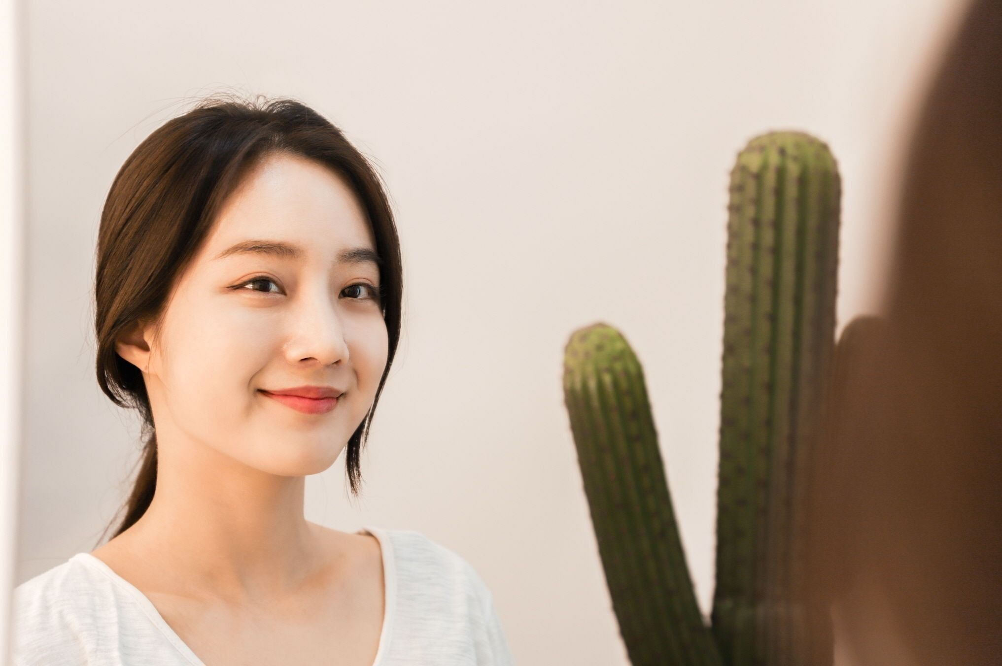 이미지 설명이 없습니다.