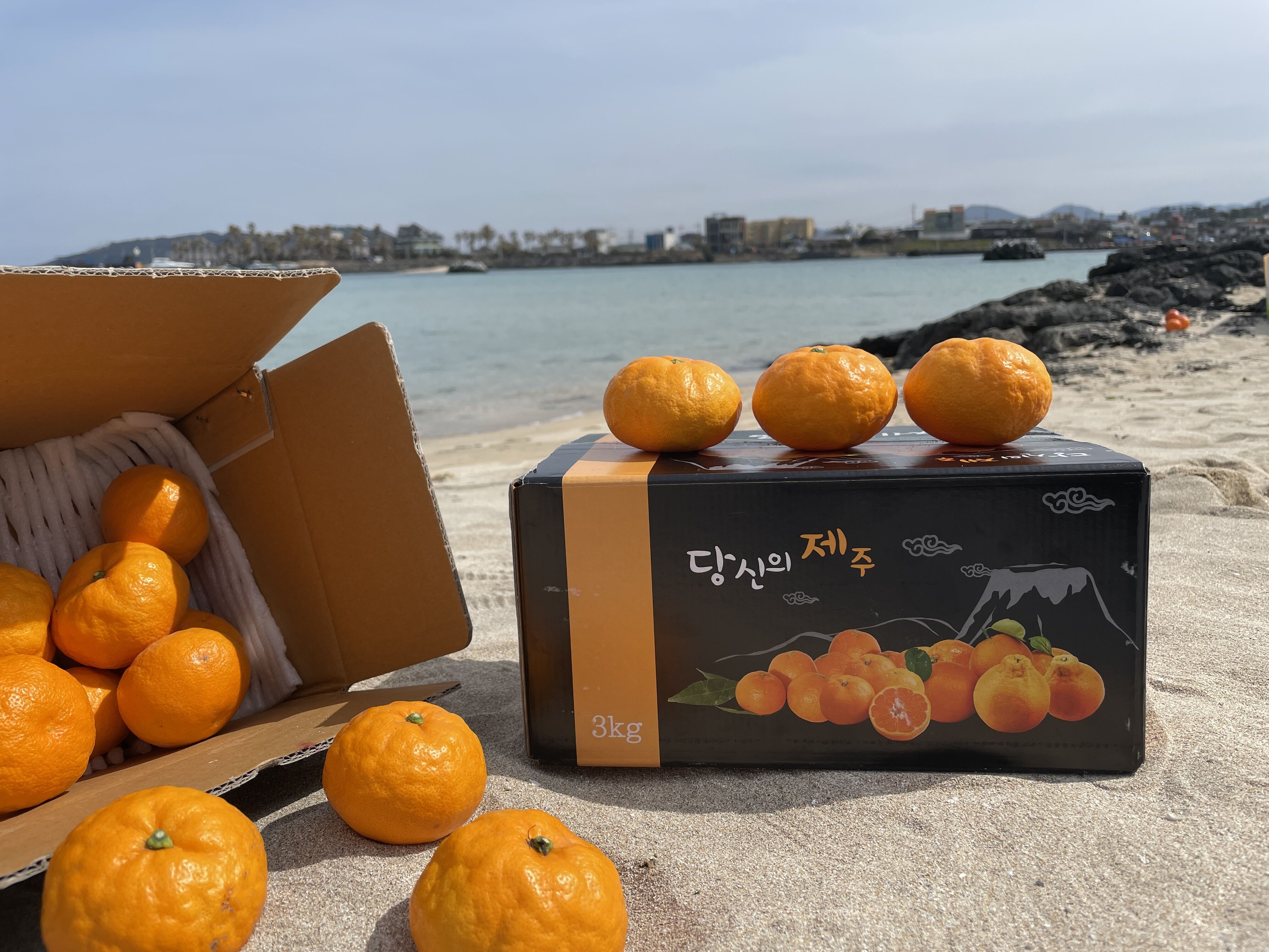 이미지 설명이 없습니다.