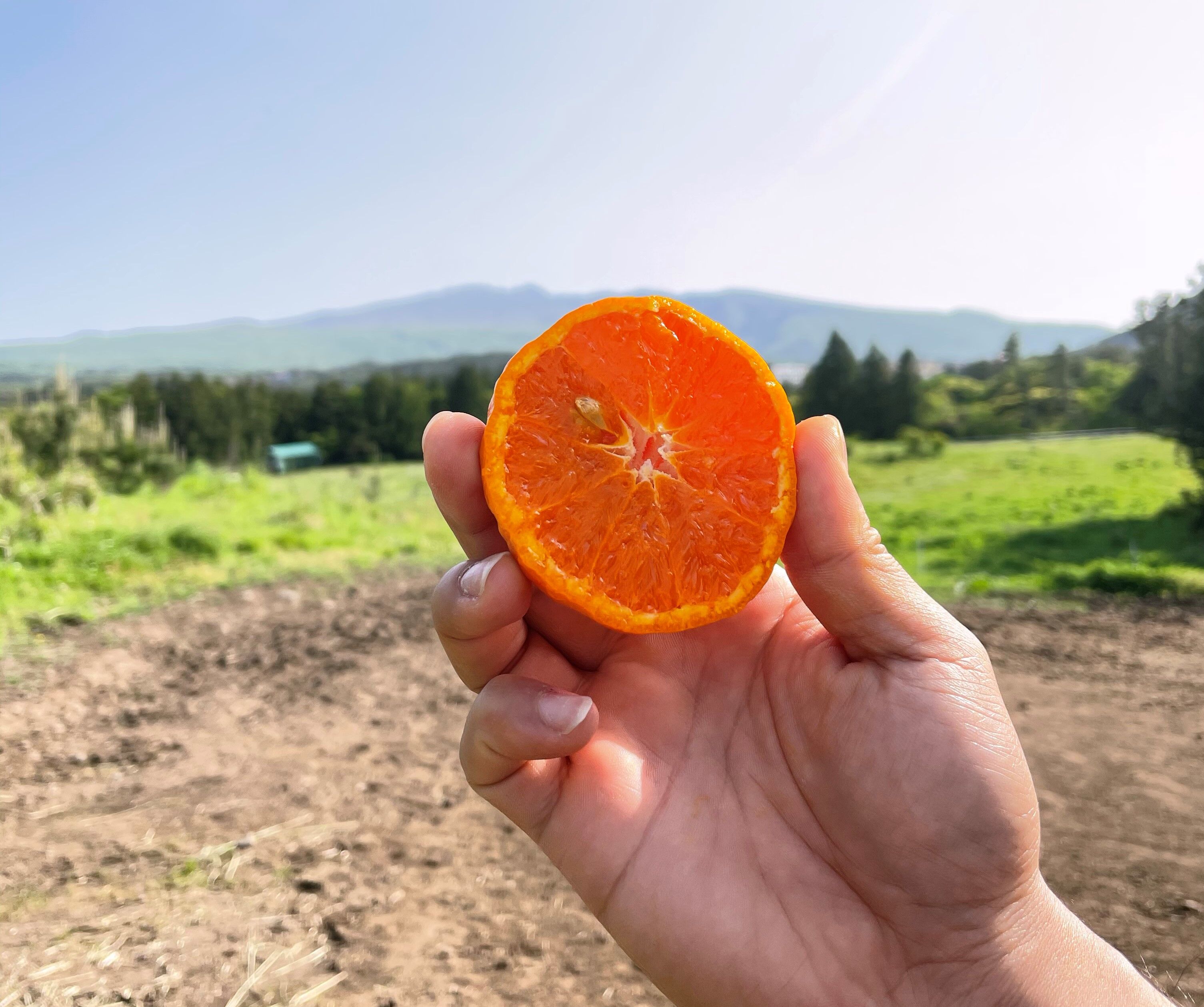 이미지 설명이 없습니다.