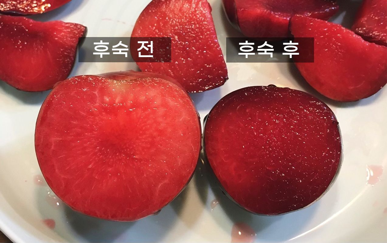 이미지 설명이 없습니다.