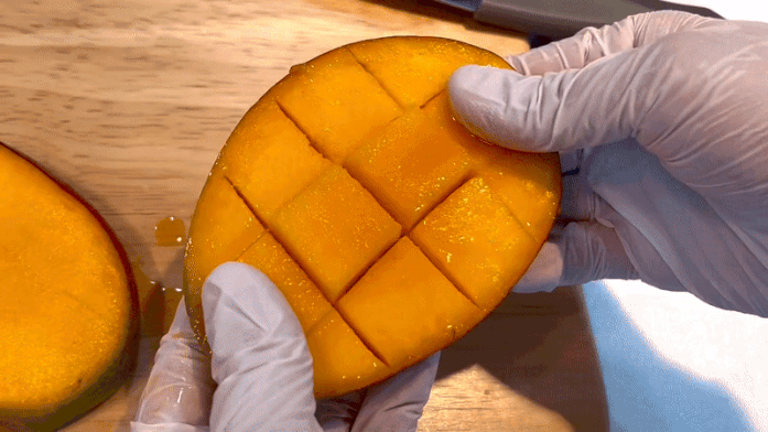 이미지 설명이 없습니다.