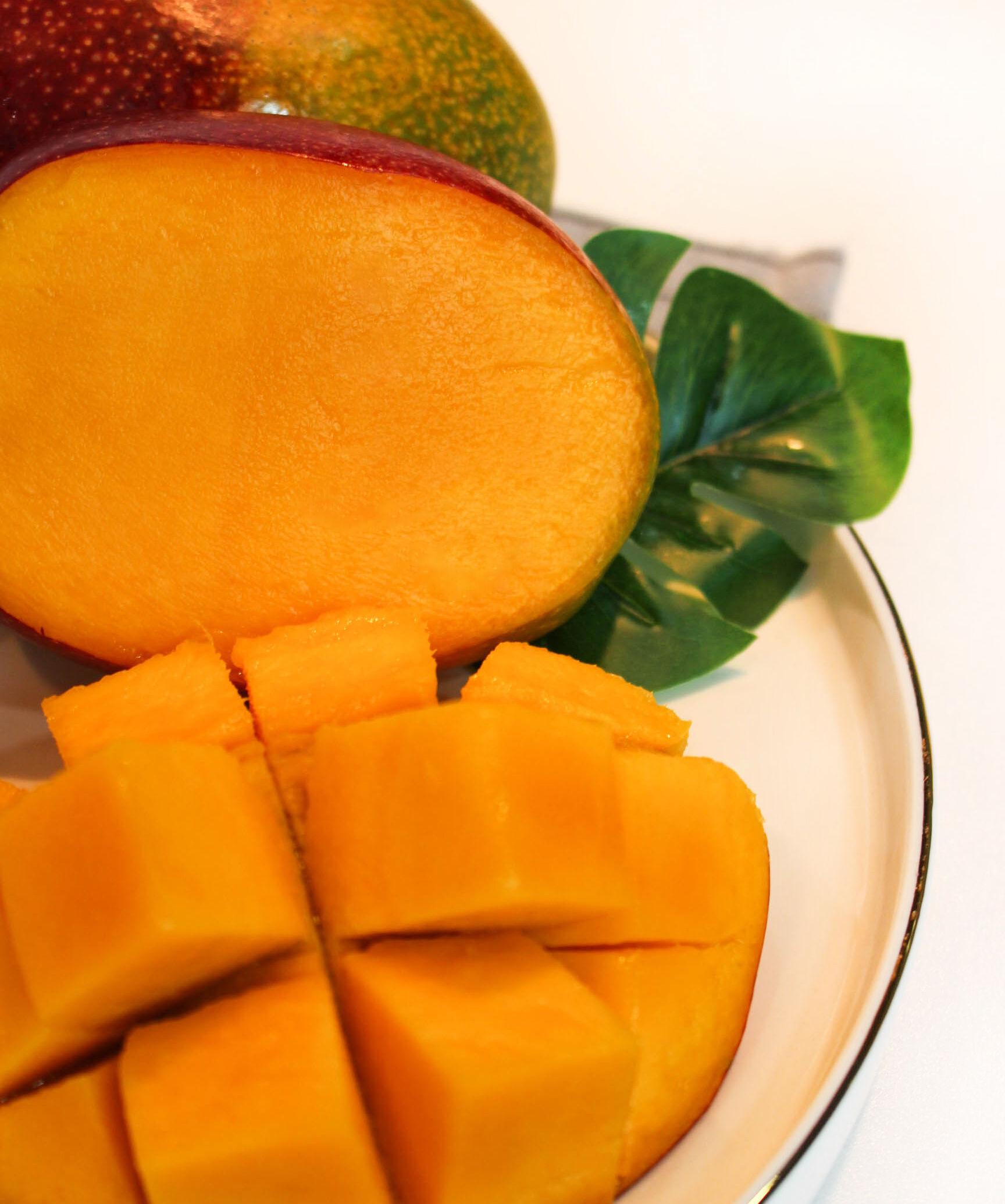 이미지 설명이 없습니다.