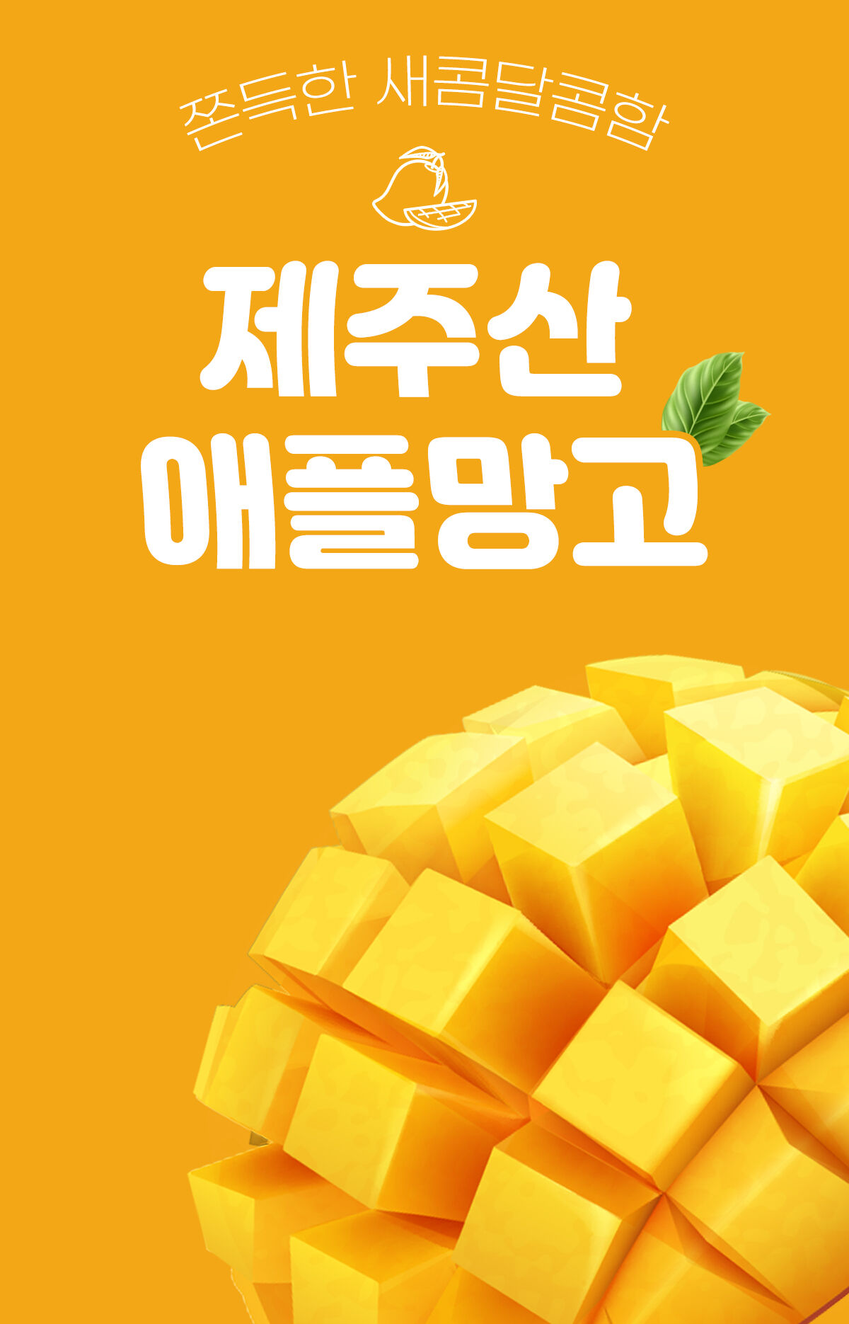 이미지 설명이 없습니다.