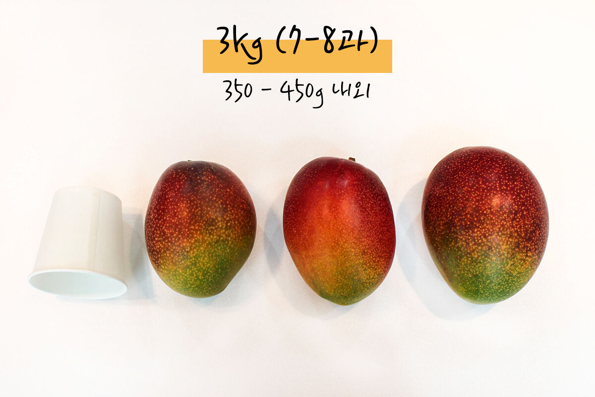 이미지 설명이 없습니다.