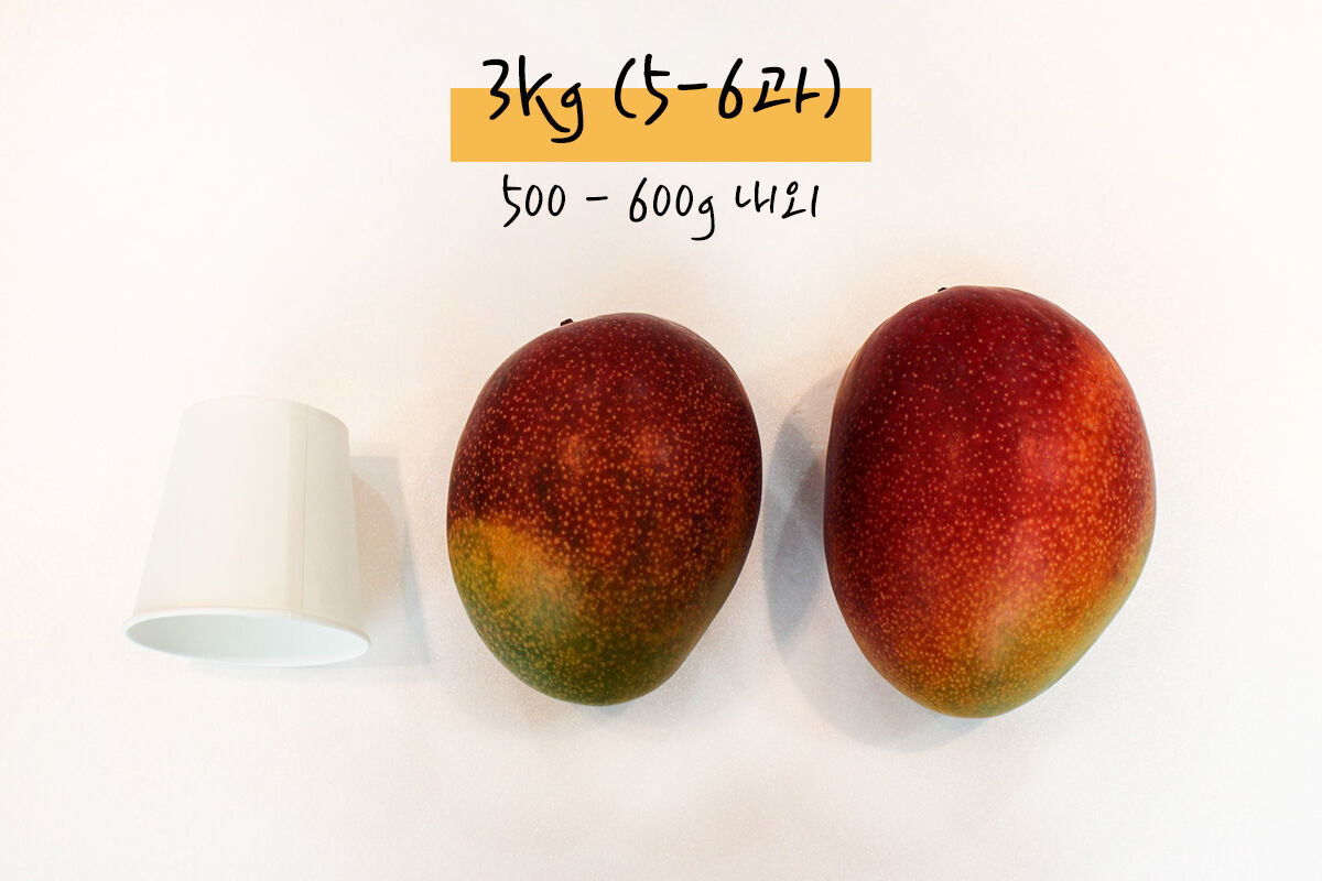 이미지 설명이 없습니다.