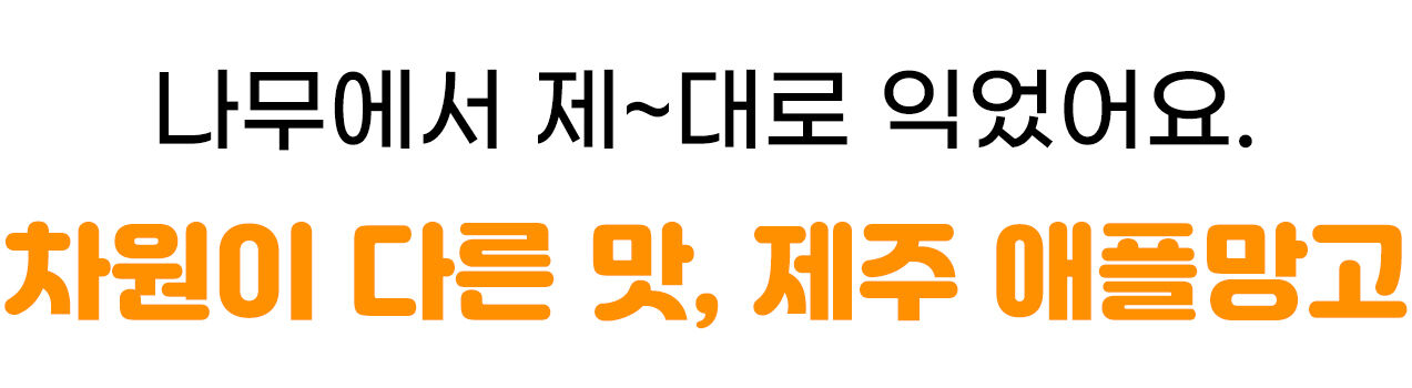 이미지 설명이 없습니다.