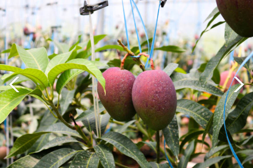 이미지 설명이 없습니다.