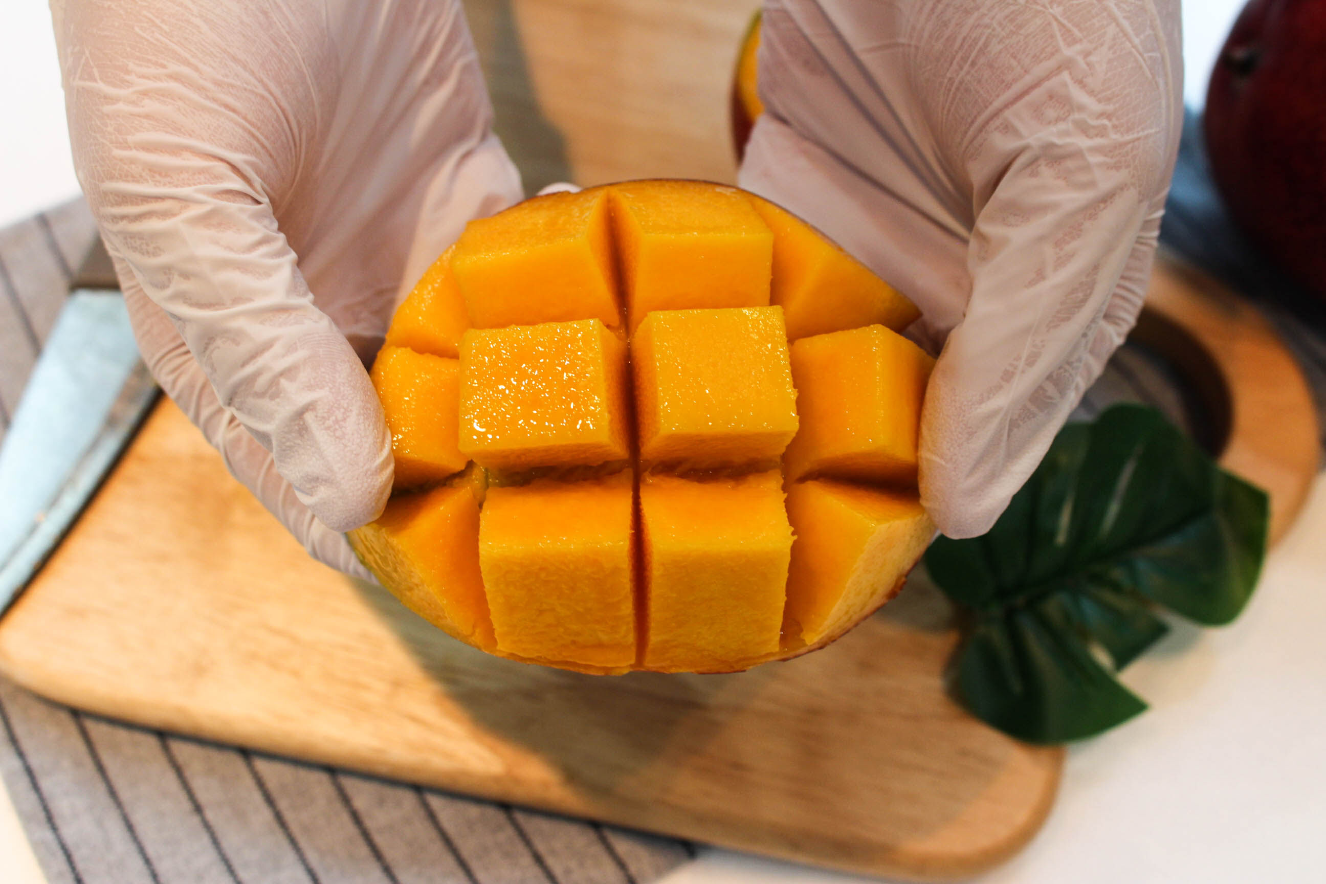 이미지 설명이 없습니다.