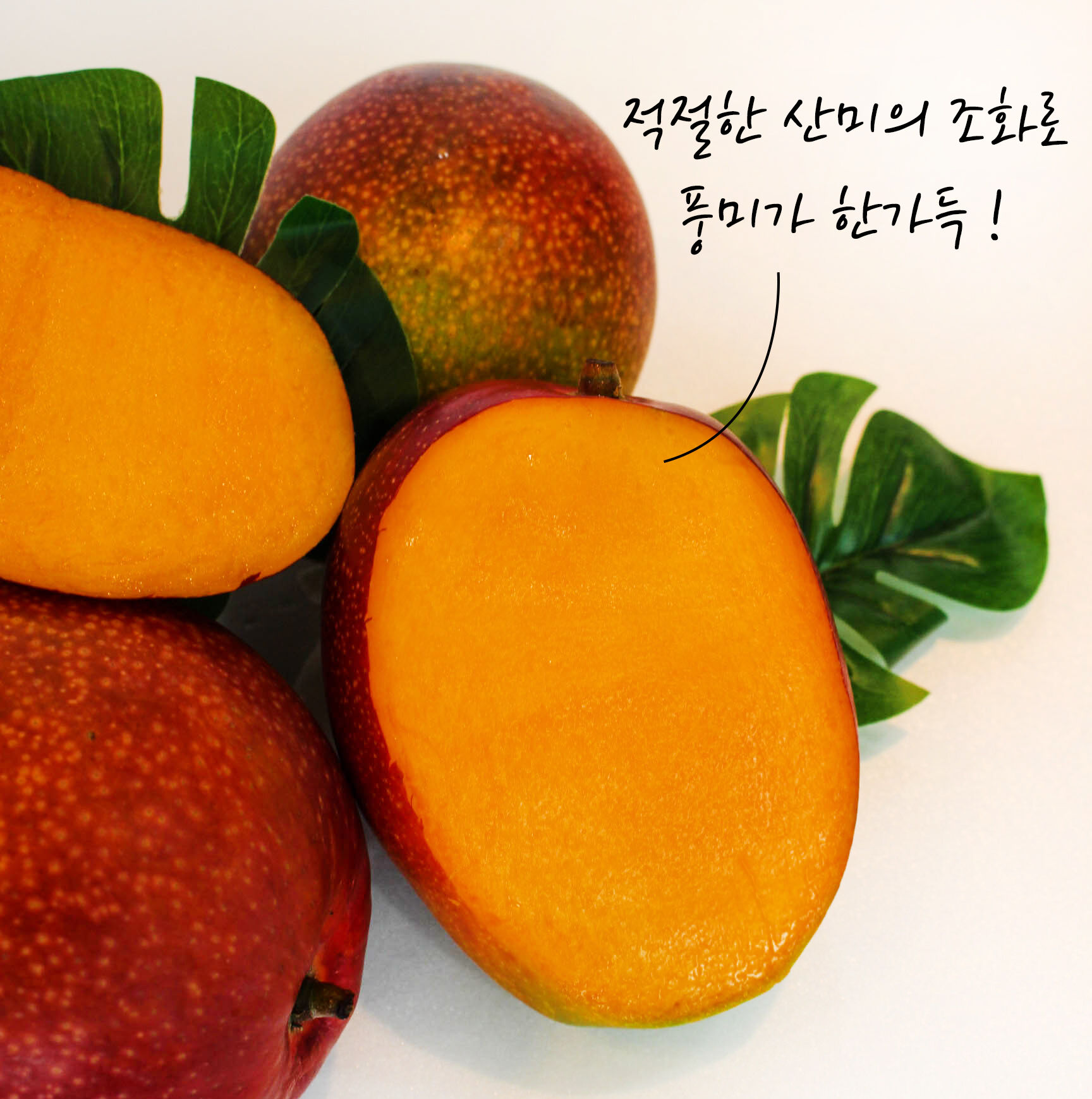 이미지 설명이 없습니다.