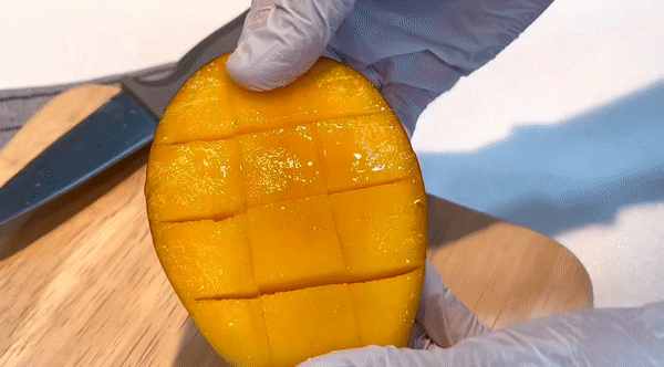 이미지 설명이 없습니다.