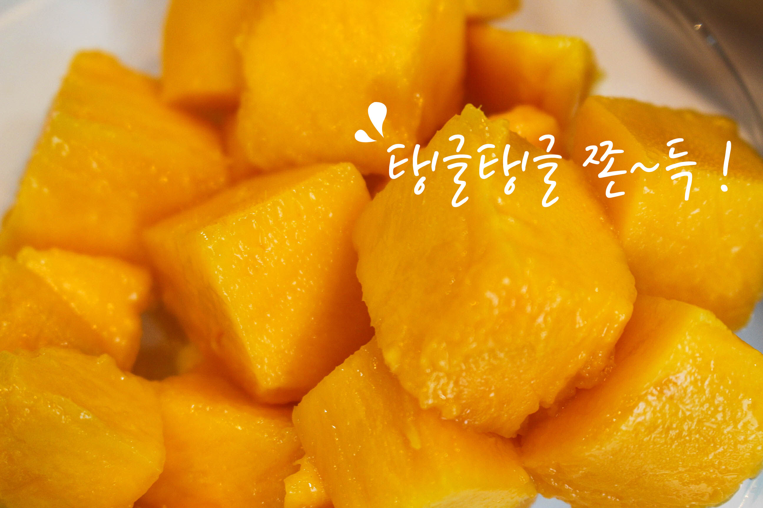 이미지 설명이 없습니다.