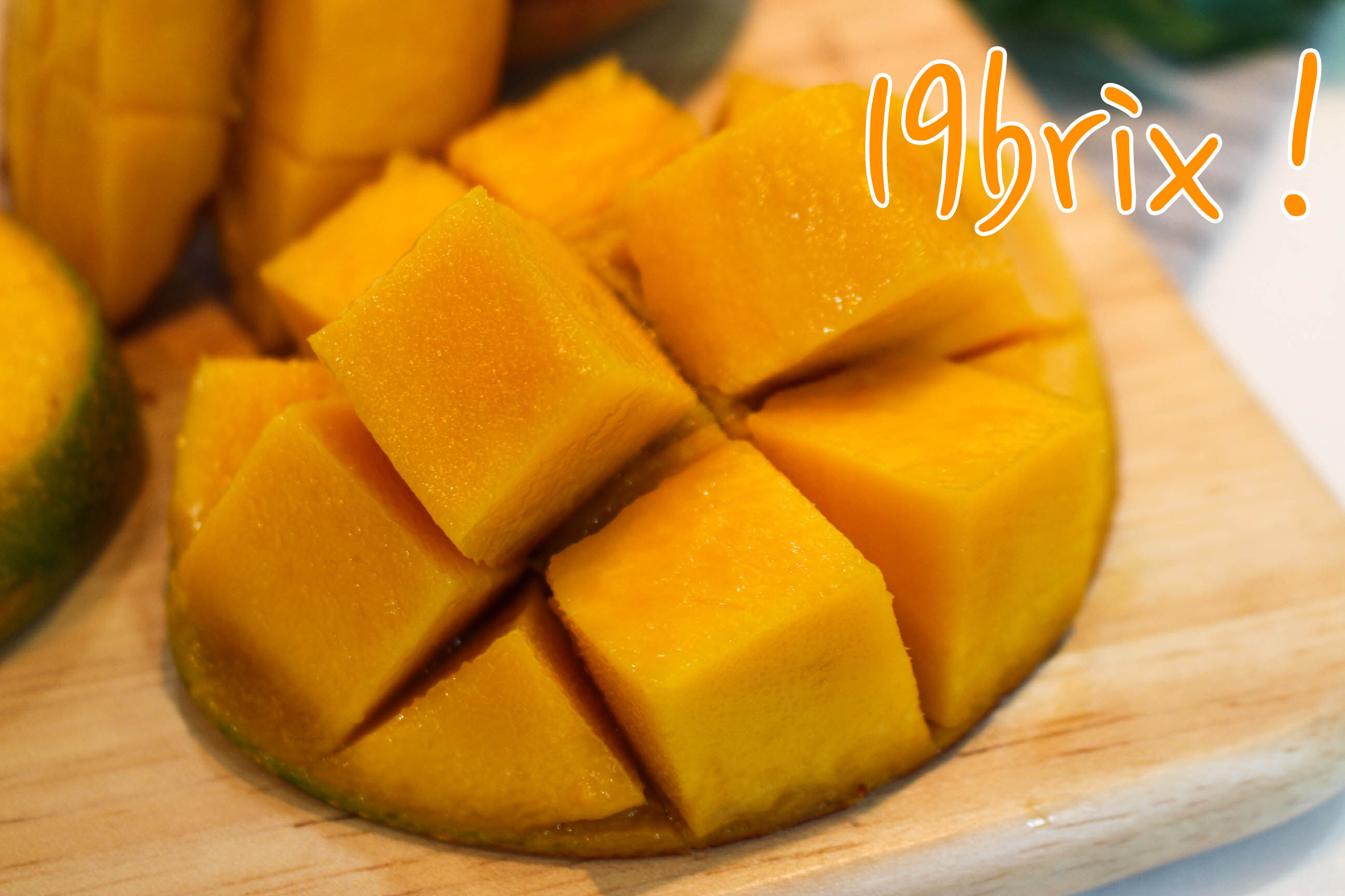 이미지 설명이 없습니다.