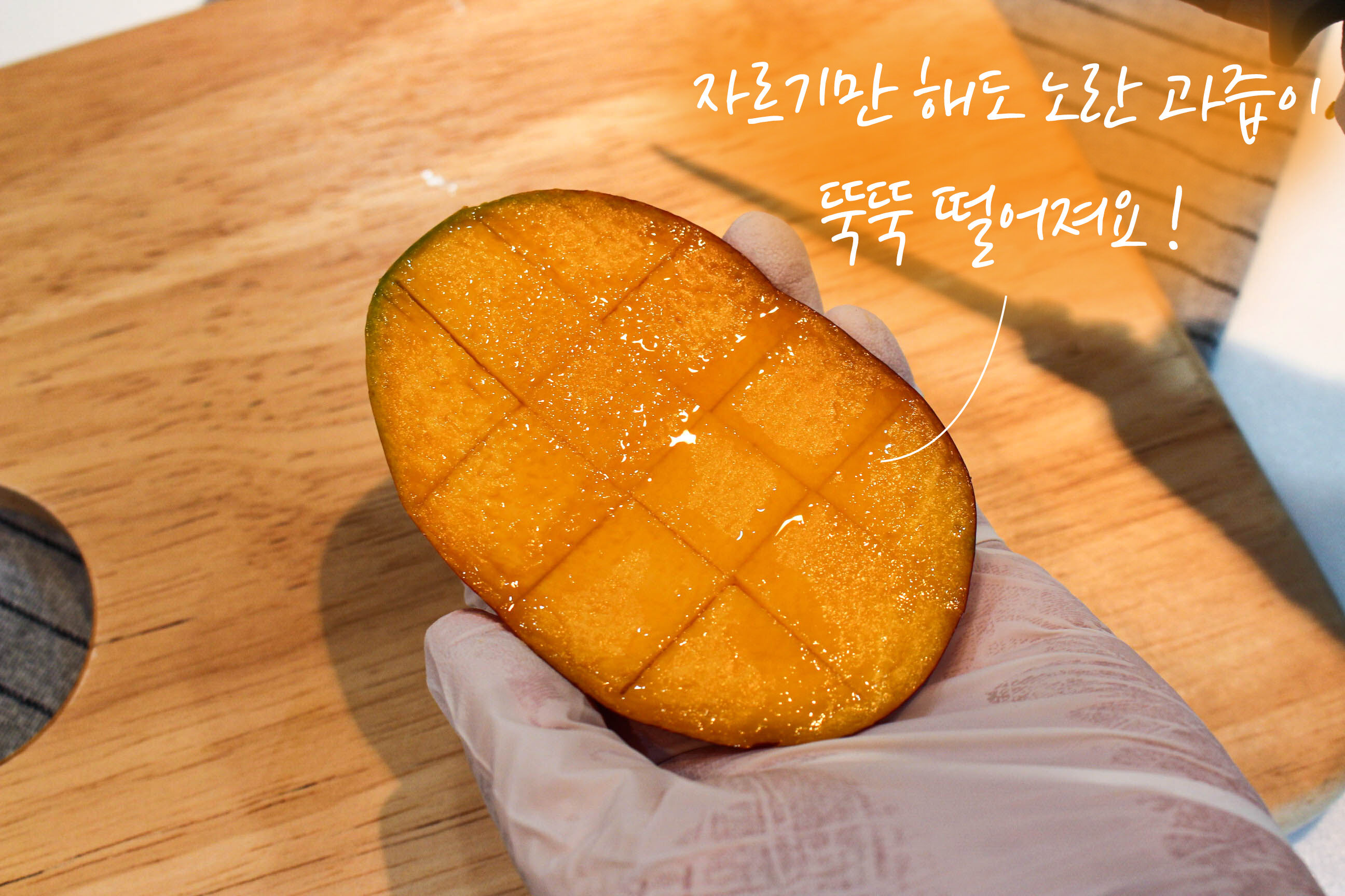 이미지 설명이 없습니다.