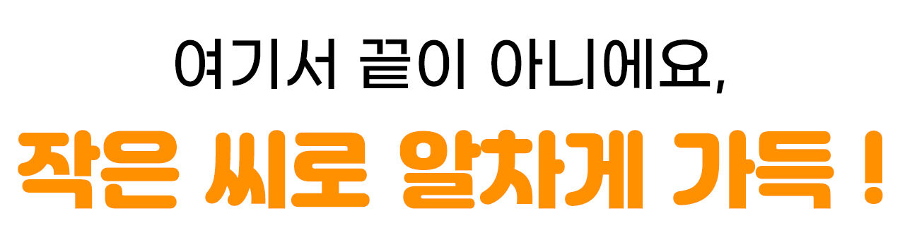 이미지 설명이 없습니다.