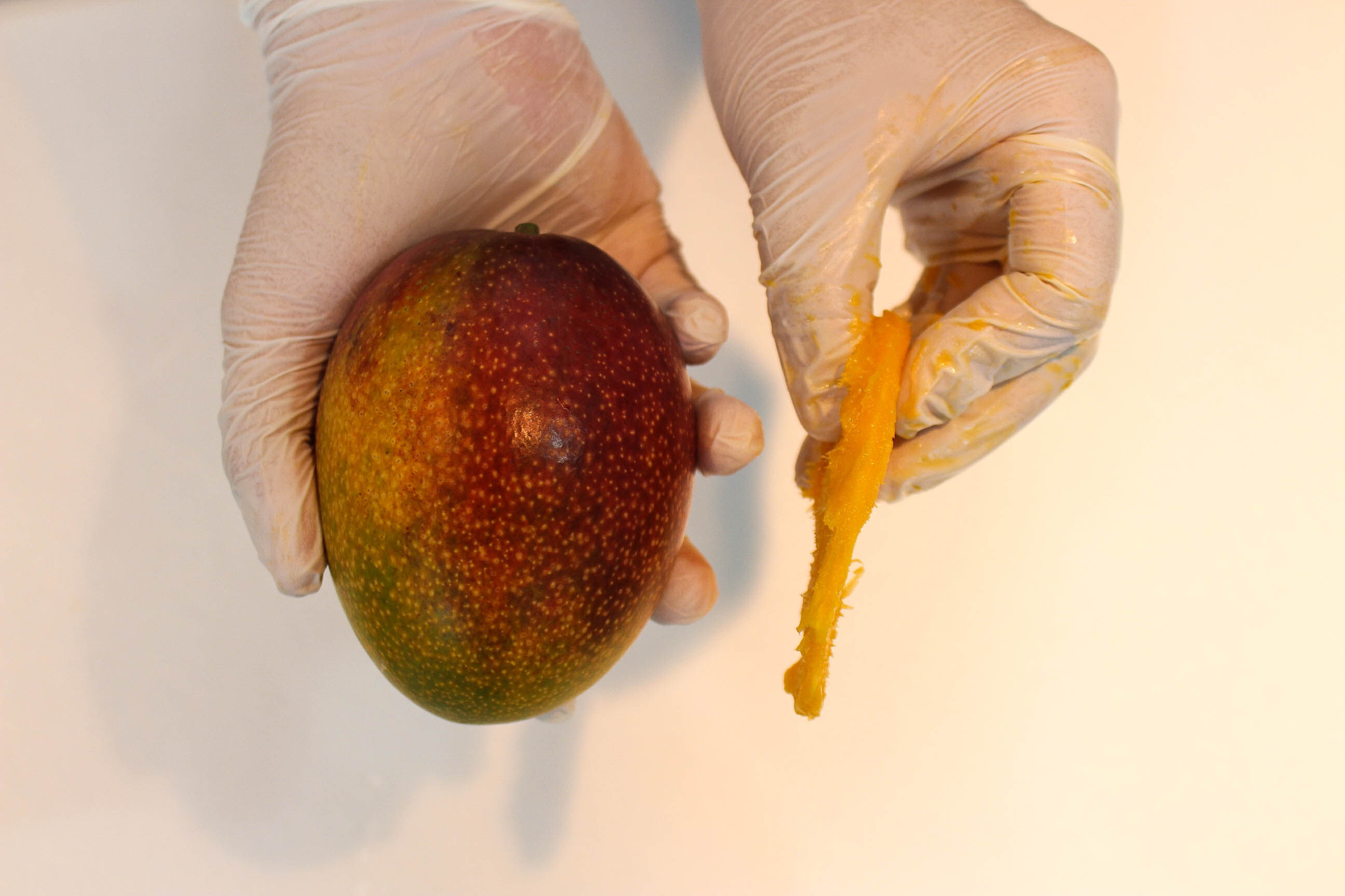 이미지 설명이 없습니다.