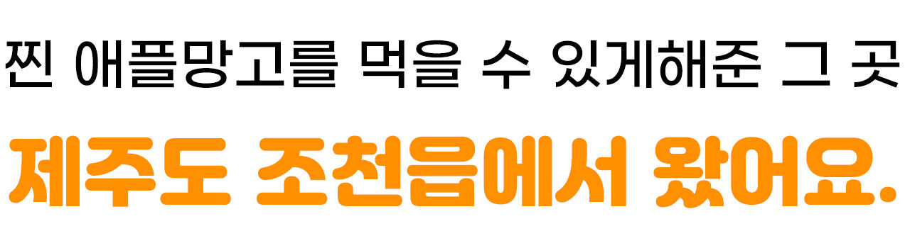 이미지 설명이 없습니다.