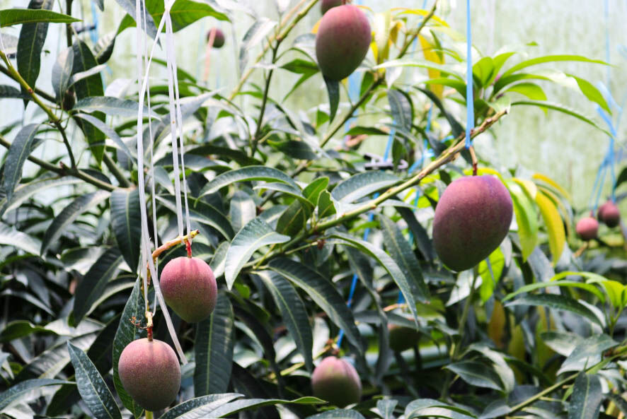 이미지 설명이 없습니다.