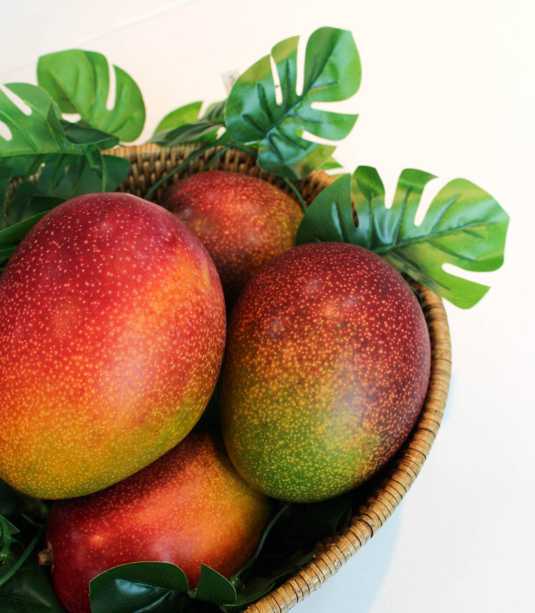 이미지 설명이 없습니다.