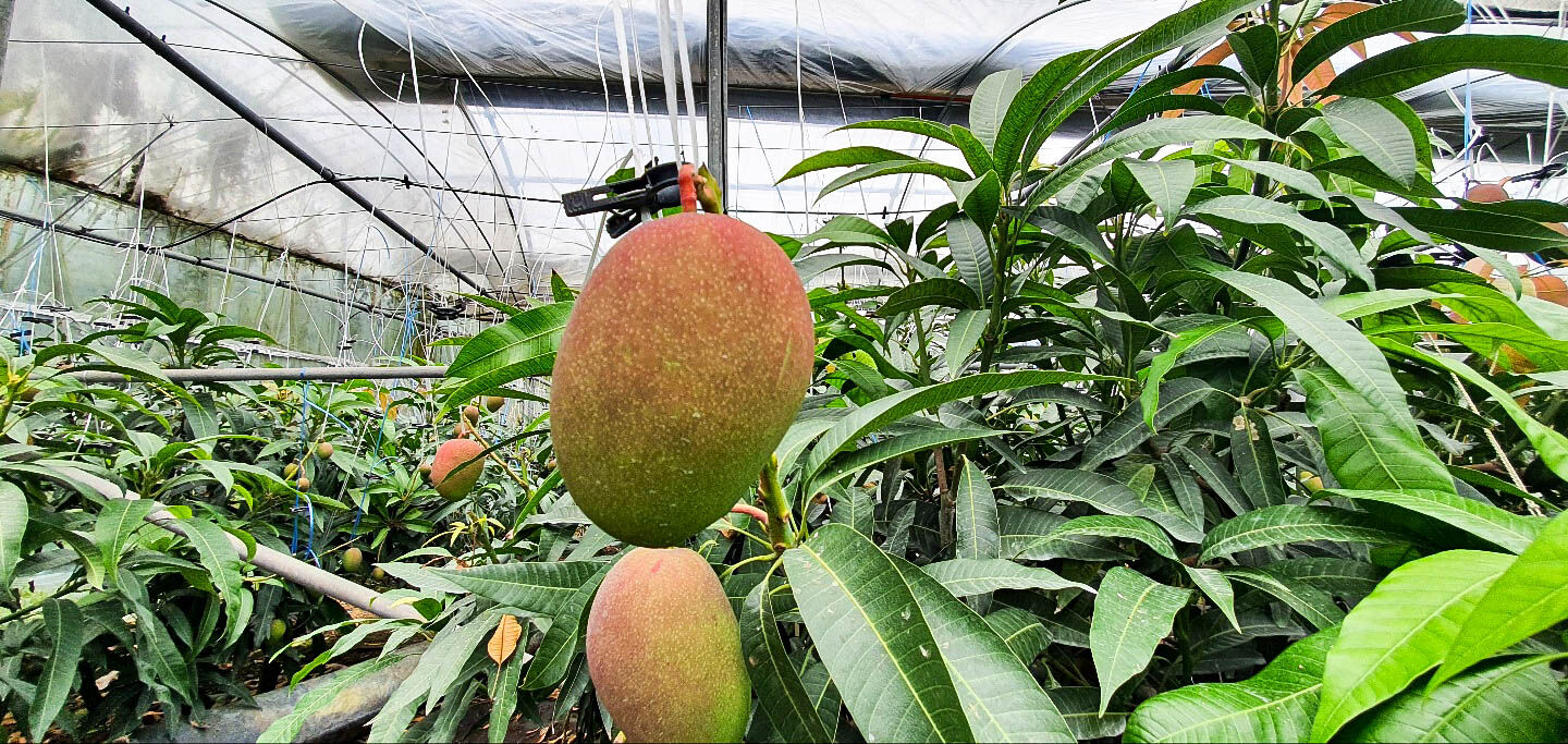 이미지 설명이 없습니다.