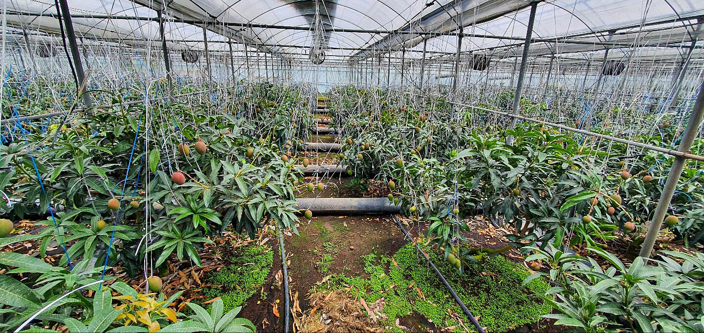 이미지 설명이 없습니다.