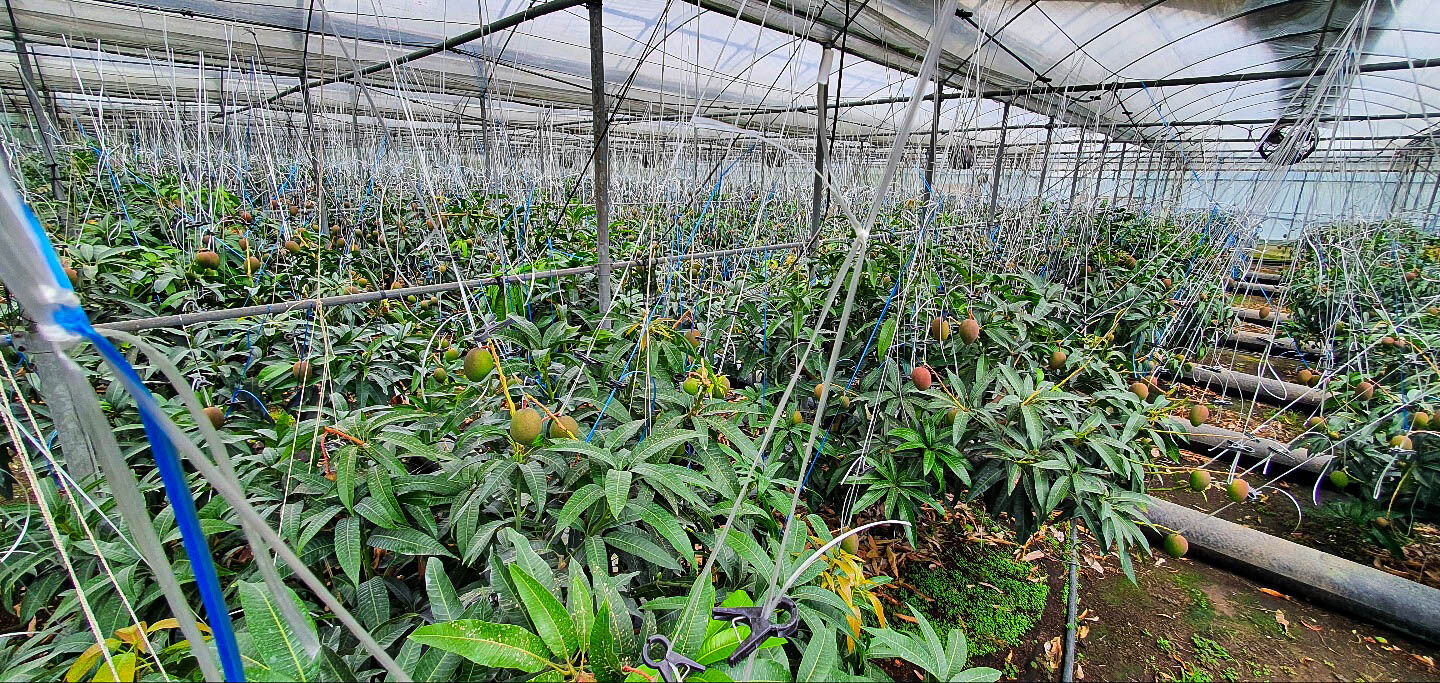 이미지 설명이 없습니다.