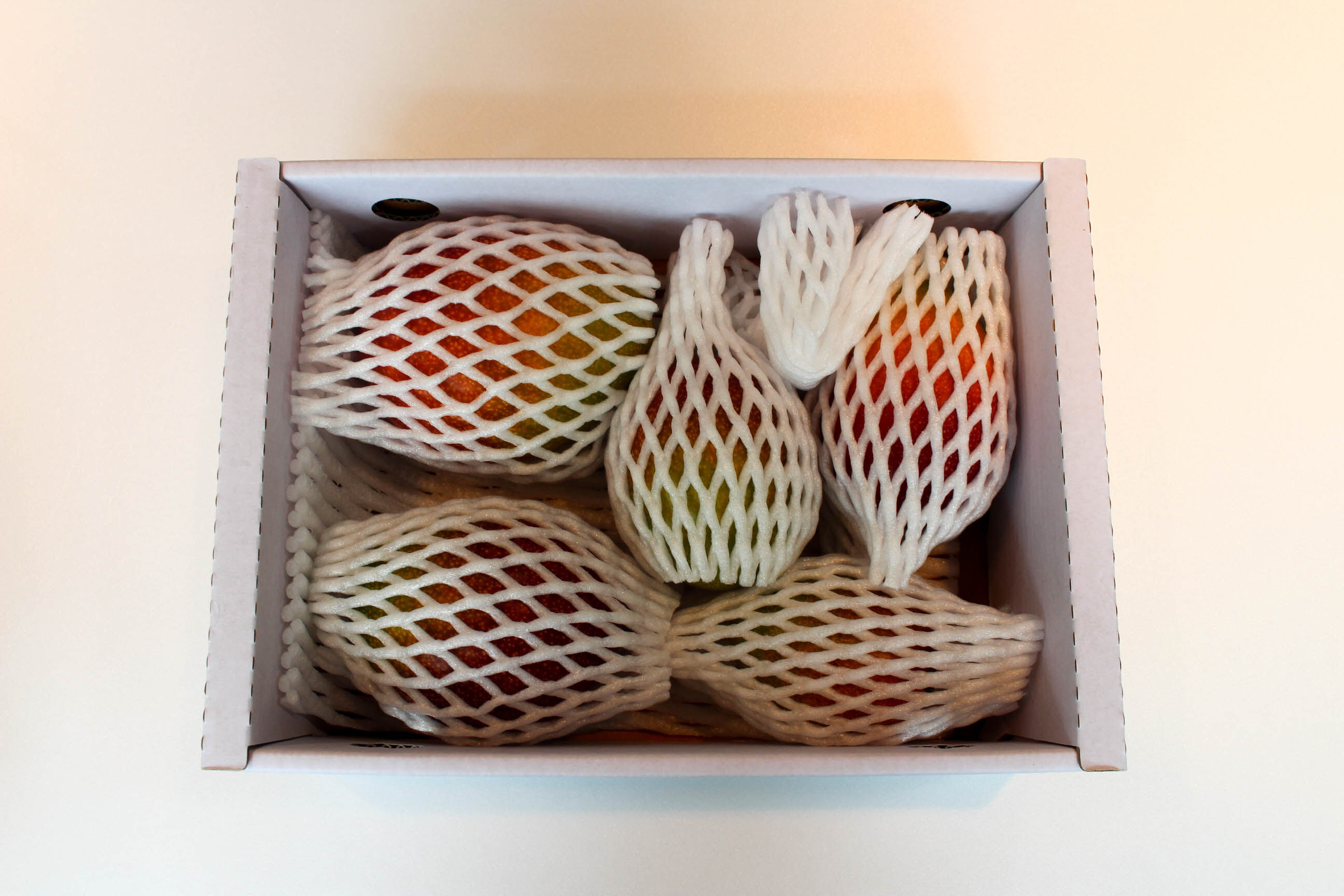 이미지 설명이 없습니다.