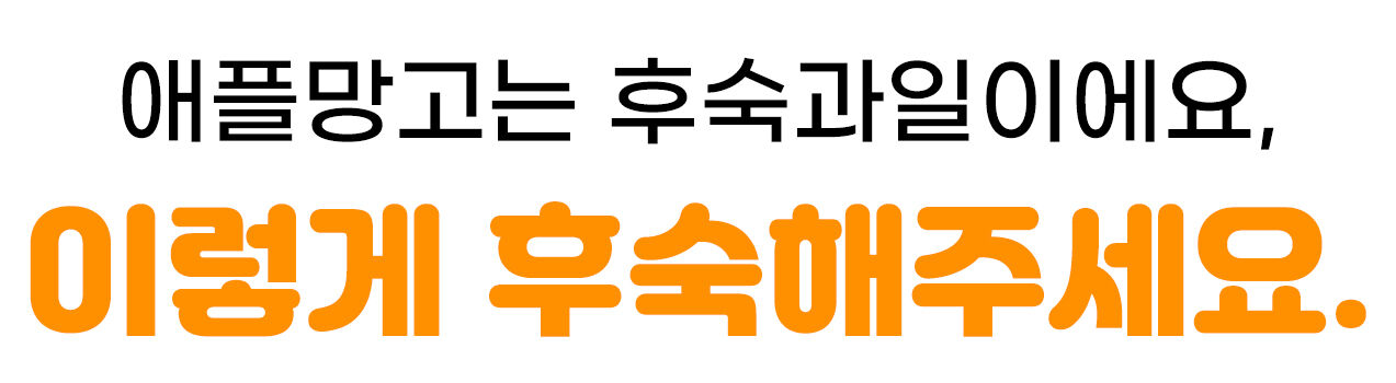 이미지 설명이 없습니다.