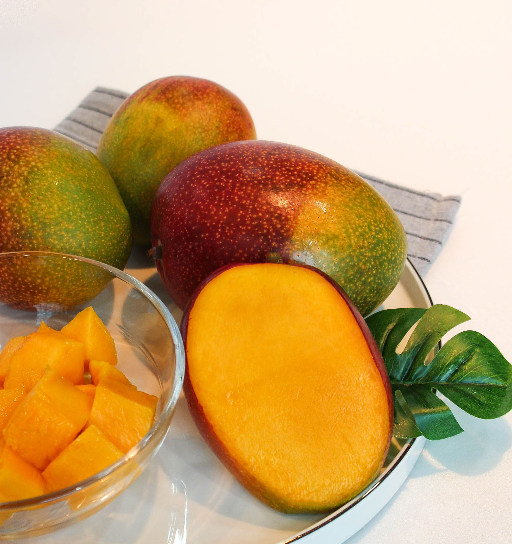 이미지 설명이 없습니다.