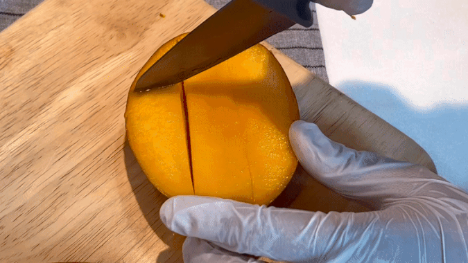 이미지 설명이 없습니다.