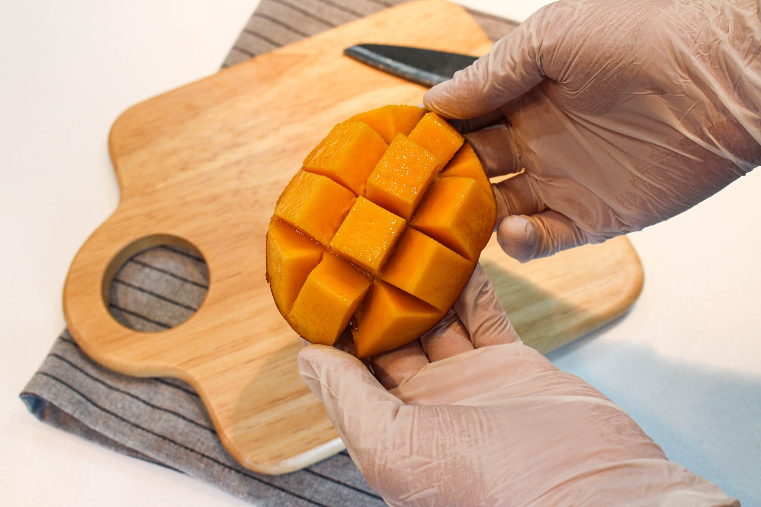 이미지 설명이 없습니다.