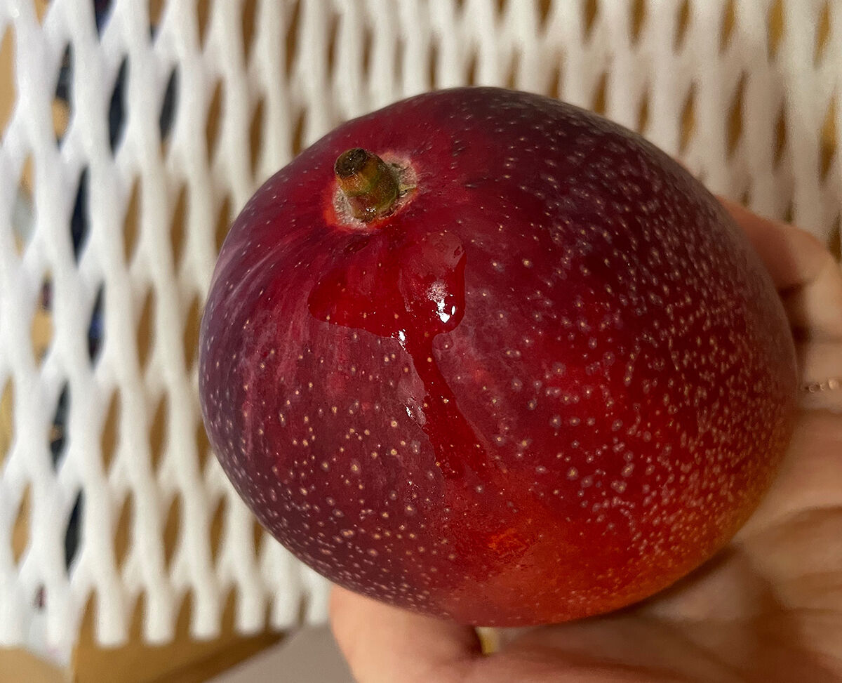 이미지 설명이 없습니다.