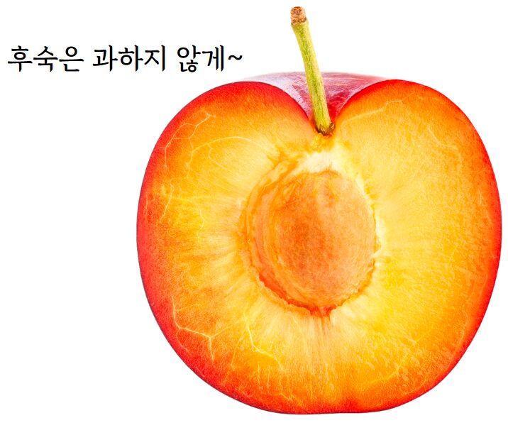 이미지 설명이 없습니다.