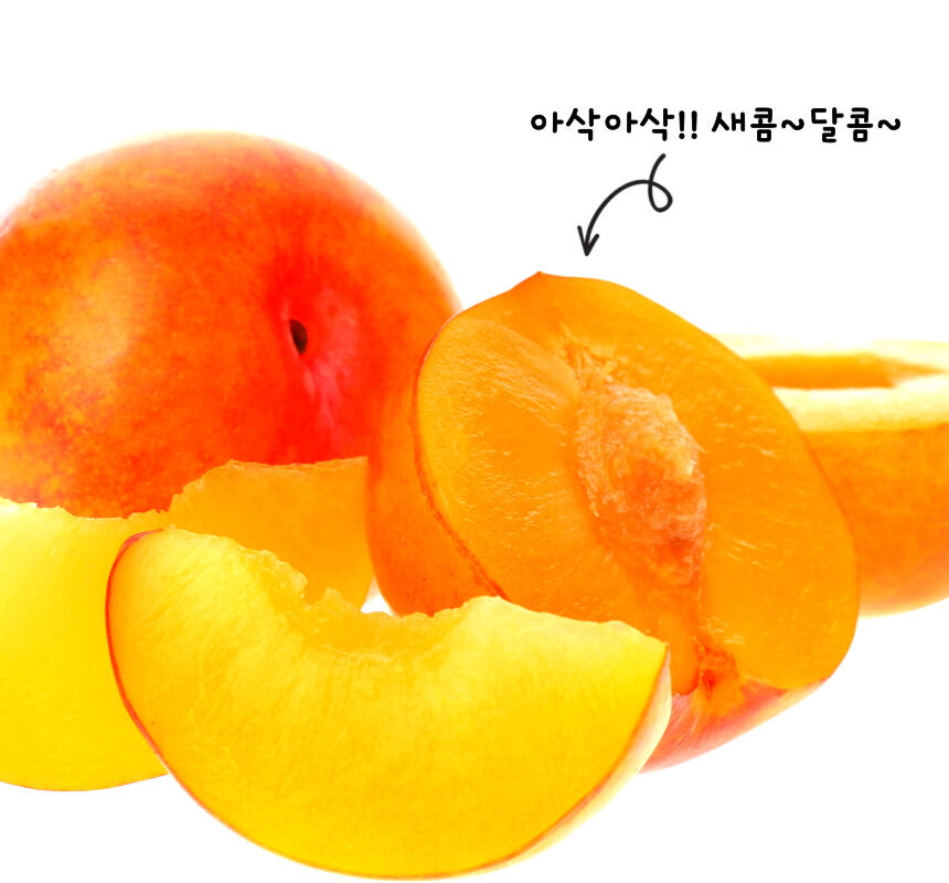 이미지 설명이 없습니다.