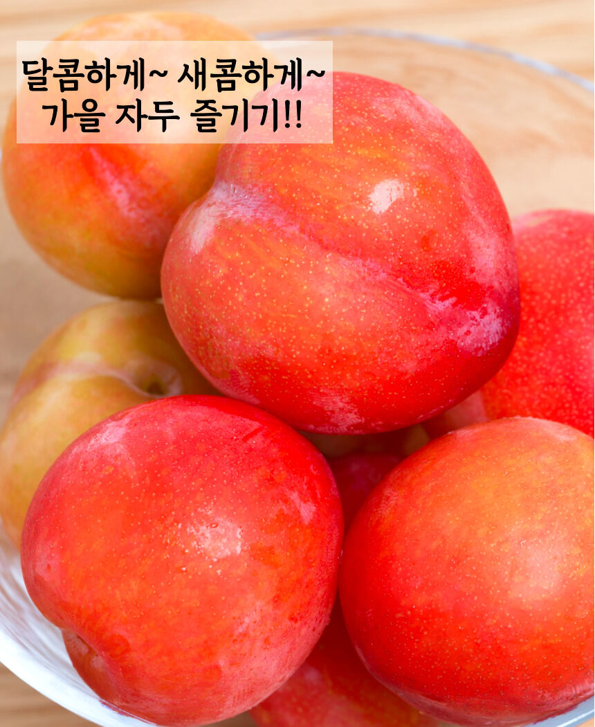 이미지 설명이 없습니다.