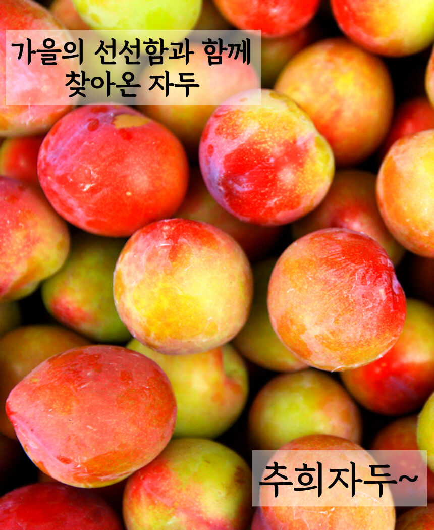 이미지 설명이 없습니다.