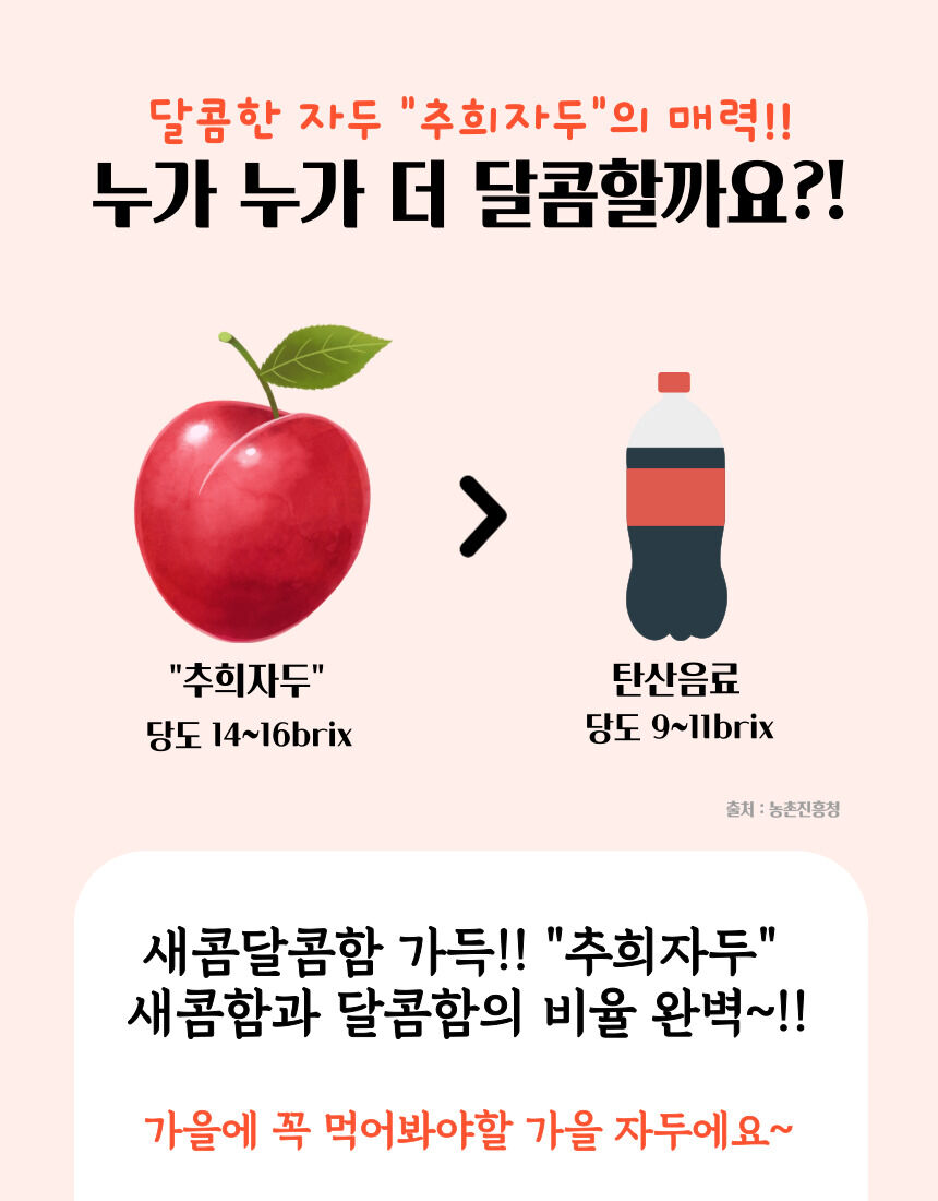 이미지 설명이 없습니다.