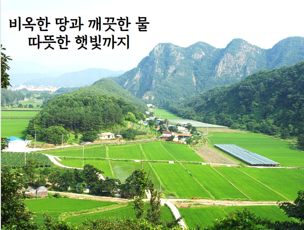 이미지 설명이 없습니다.
