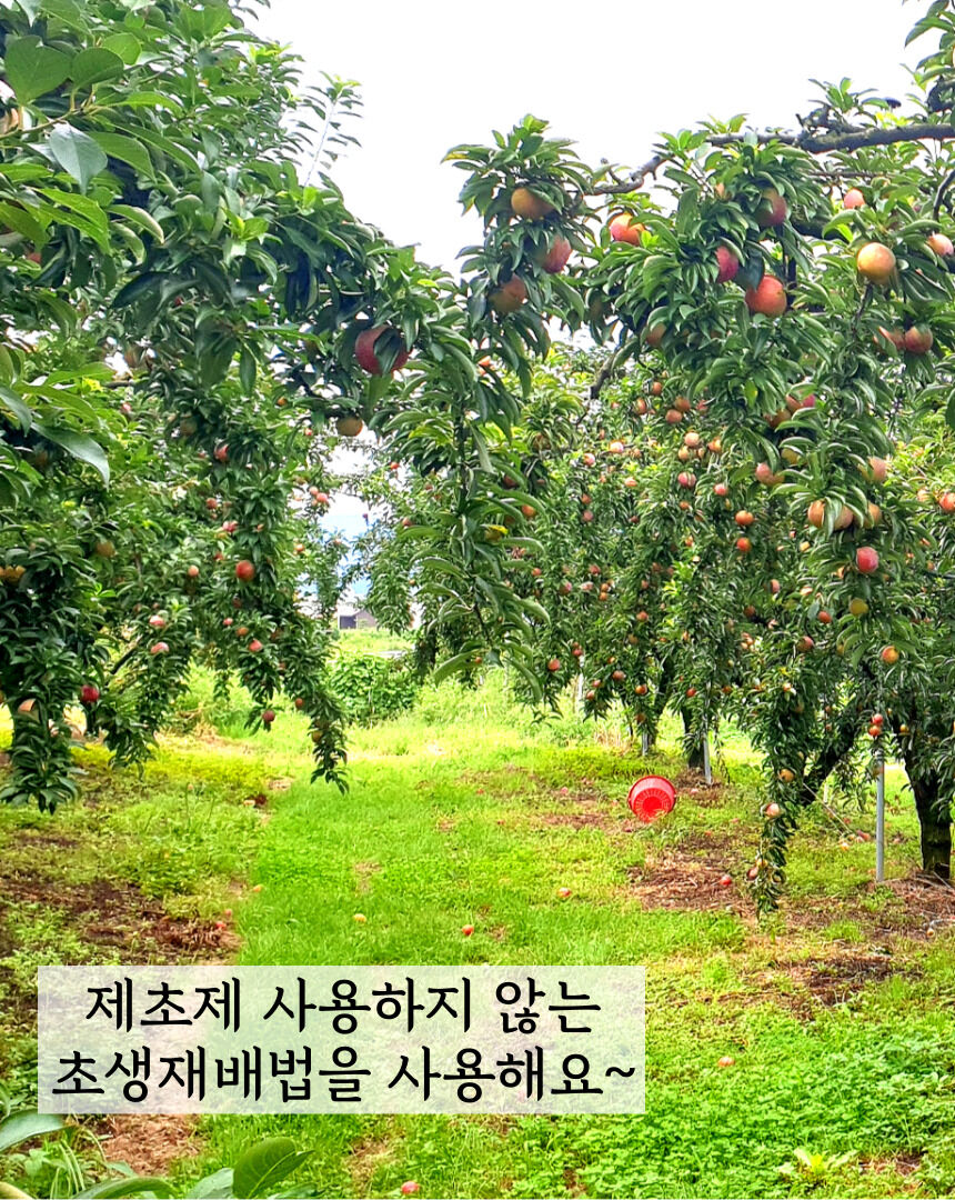 이미지 설명이 없습니다.