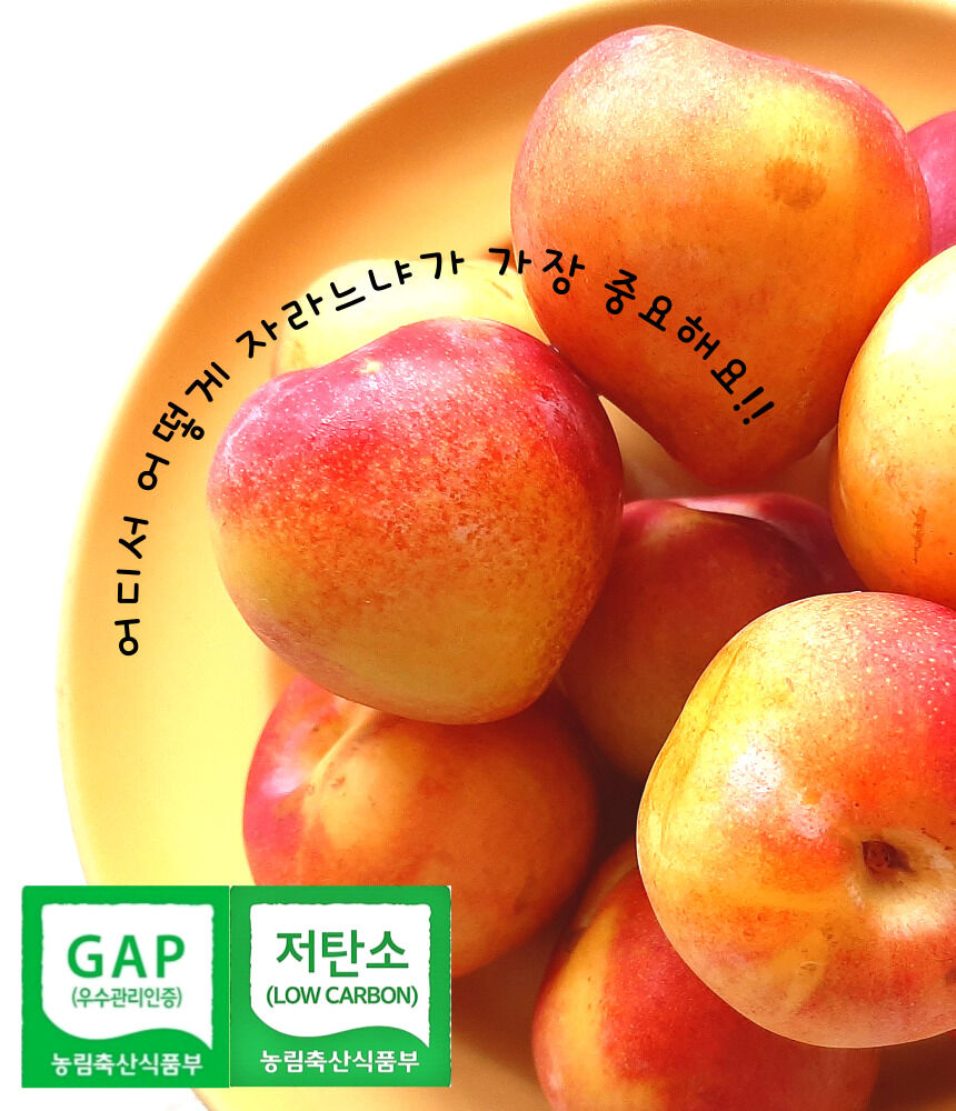 이미지 설명이 없습니다.