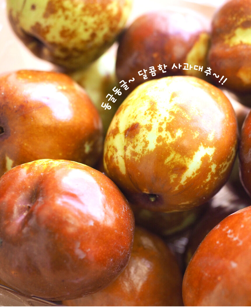이미지 설명이 없습니다.